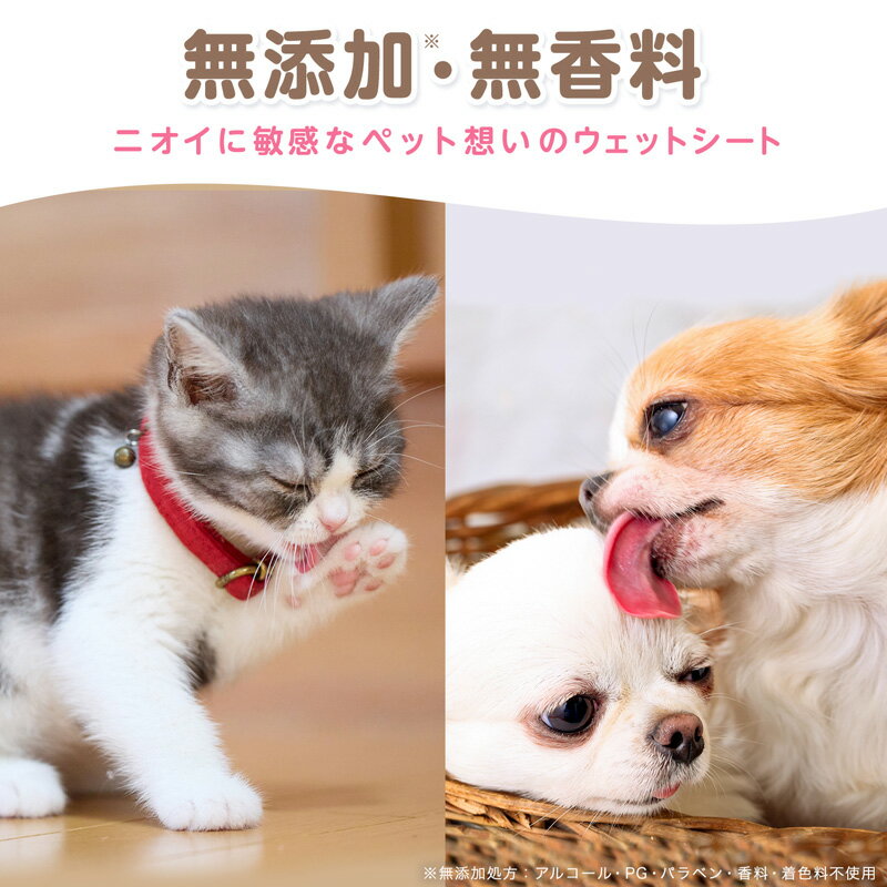 �ڥåȥ����� �����åȥƥ��å��� ��99.9 �ڥå��� �����åȥ����� 80���3 ��å� �����쥯�� lec