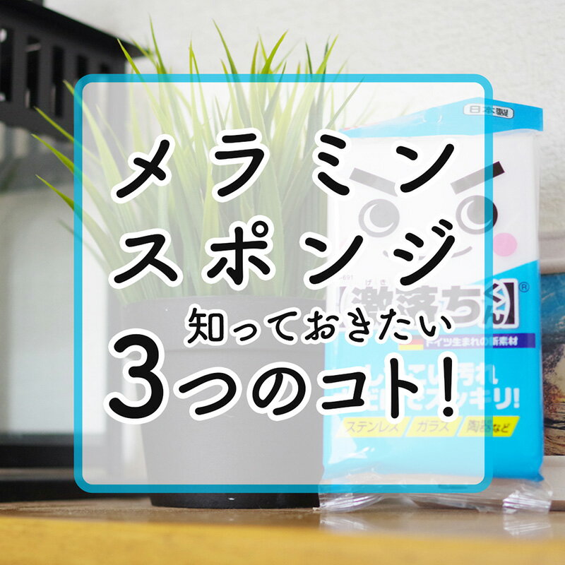 激落ちキング レック ダイレクト lecの紹介画像3
