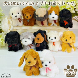 動物一般 犬のぬいぐるみ プチお座りドッグ 12犬種セット お座りしたプチぬいぐるみのセットです 卒業式 プレゼント ギフト お返し ルシアン