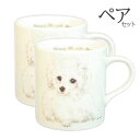 【 ペア 2個セット 】マグカップ トイプードル 犬 コップ コーヒー カップ ティーカップ おしゃれ ナチュラル おうちカフェ ドッグカフェ わんコレ 食器 ...