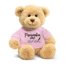 メッセージベア ぬいぐるみ テディベア Tシャツべア ピンク GUND ガンド クマ 熊 Teddy bear 手触りふわふわ 寄せ書き 色紙 名入れ 出産祝い 誕生日 送別 卒業式 お祝い