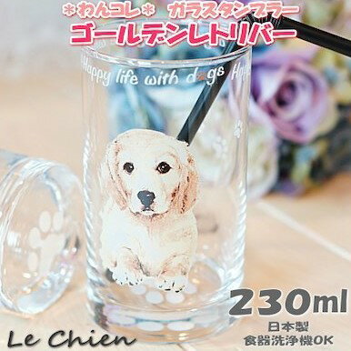 グラス タンブラー犬 ガラスのコップ 日本製 230cc わんコレ 卒業式 プレゼント ギフト お返し ルシアン