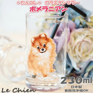 グラス タンブラー【ポメラニアン】犬 ガラスのコップ 日本製 230cc わんコレ 卒業式 プレゼント ギフト お返し ルシアン
