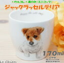 湯呑 ジャックラッセル ゆのみ 湯のみ カップ コップ カフェ マルチカップ ドッグカフェ 犬 わんコレ 食器 日本製 陶器 ジャックラッセルグッズ 犬雑貨 お悔み プレゼント ギフト お返し ルシアン