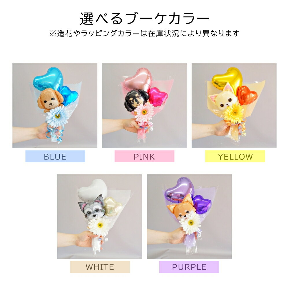 �Х롼�� ��« ����� ȯɽ�� ������ �Х롼�� �� �Х롼��֡��� �ߥ˥֡��� ̾���� ������� �ڥå� �ڥåȥ��å� ���� �� ´�༰ ´�ȼ� �ȥ��ס��ɥ� ������� ����ʥ����� �衼������ƥꥢ ����� �Ƹ� �ե�֥� ������ǥ� �ӡ����� �ϥ����� �İ���