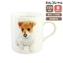 マグカップ ジャックラッセルテリア 犬 コップ コーヒー カップ ティーカップ おしゃれ ナチュラル おうちカフェ ドッグカフェ わんコレ 食器 日本製 ジャックラッセルグッズ 犬雑貨 お悔み プレゼント ギフト ルシアン(3)