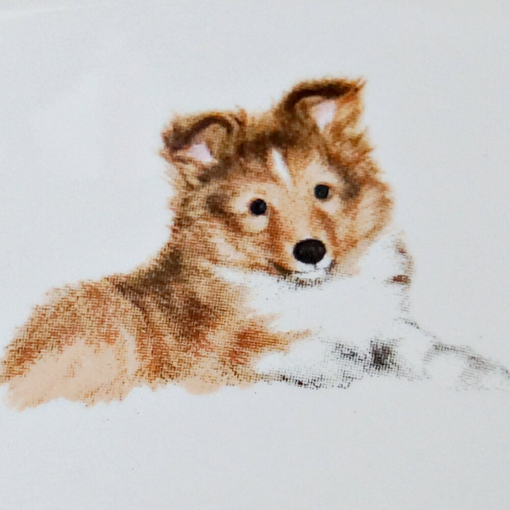 フードボウル 犬 シェルティー 日本製 陶器 ...の紹介画像2
