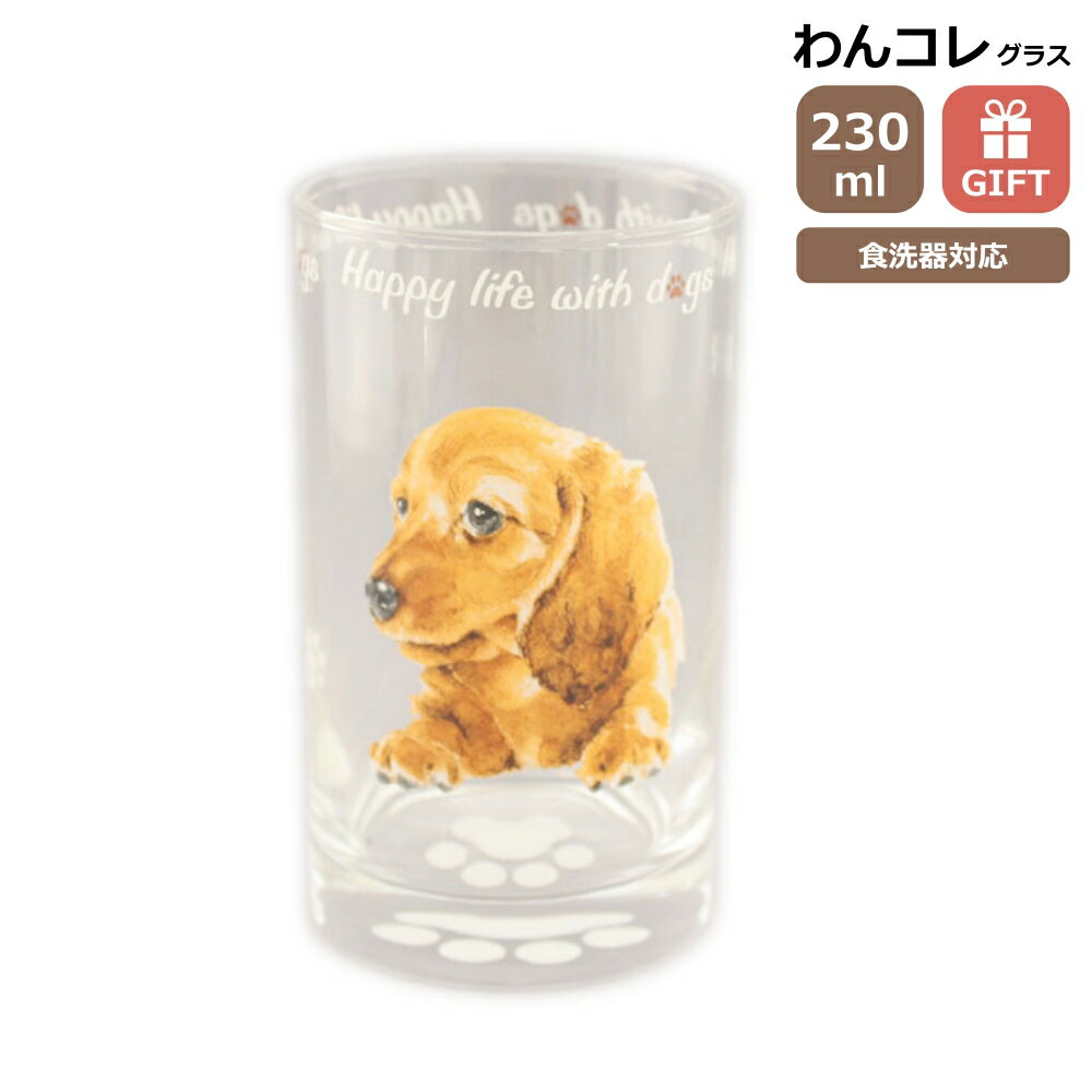 グラス コップ タンブラー ダックスフンド レッド 日本製 犬モチーフ 犬雑貨 食器 ジュースグラス お茶 コーヒー ガラスのコップ ダックス グッズ 230cc わんコレ プレゼント ギフト 母の日 父…