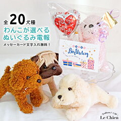 https://thumbnail.image.rakuten.co.jp/@0_mall/lechien/cabinet/nd/20110707-3_1.jpg