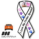 【メール便送料無料】リボンマグネット アメリカンコッカー 1 犬 車に貼るマグネット カーマグネット ステッカー カーステッカー カー用品 犬グッズ 犬雑貨 アメリカ雑貨 プレゼント ルシアン