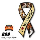 リボンマグネット From USA キャバリア 3 (犬のカーマグネットステッカー カーステッカー 犬グッズ 犬雑貨 ドッグ かわいい マグネットステッカー マグネットシール マグネット シール ステッカー 車 通販 楽天) 卒業式 プレゼント ギフト