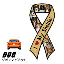 【メール便送料無料】リボンマグネット From USA シェルティー 2(犬のカーマグネットステッカー カーステッカー 犬グッズ 犬雑貨 ドッグ かわいい マグネットステッカー マグネットシール マグネット シール ステッカー 車 通販 楽天) 卒業式 プレゼント ギフト