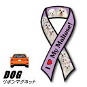 【メール便送料無料】リボンマグネット From USA マルチーズ 3 (犬のカーマグネットステッカー カーステッカー 犬グッズ 犬雑貨 ドッグ かわいい マグネットステッカー マグネットシール マグネット シール ステッカー 車 通販 楽天) 卒業式 プレゼント ギフト