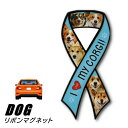 リボンマグネット From USA コーギー 3 (犬のカーマグネットステッカー カーステッカー 犬グッズ 犬雑貨 ドッグ かわいい マグネットステッカー マグネットシール マグネット シール ステッカー 車 通販 楽天 ギフト 動物 アニマル) お年賀 プレゼント