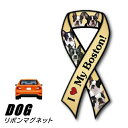 【メール便送料無料】リボンマグネット From USA ボストンテリア 2 犬のカーマグネットステッカー カーステッカー 犬グッズ 犬雑貨 ドッグ かわいい マグネット シール ステッカー 車 通販 楽天 卒業式 プレゼント ギフト