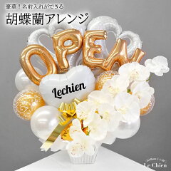 https://thumbnail.image.rakuten.co.jp/@0_mall/lechien/cabinet/shop/a140-025s_1.jpg