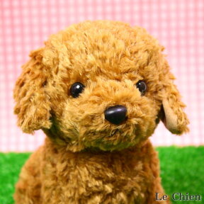 トイプードルのぬいぐるみ お座り(スターチャイルド）(犬 おもちゃ プレゼントにおすすめ ギフト 誕生日 記念日 バースデー かわいい 可愛い イヌ 結婚祝い 出産祝い ぬいぐるみ ) 卒業式 プレゼント お返し ルシアン