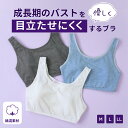 公式ストア 胸をつぶさず目立たせにくい ルシアン 部活ブラ ジュニアブラ ハーフトップ かぶりタイプ 綿混 ブラジャー シンプル 小さく見せる コンパクト 10代 キッズ 小学生 中学生 高校生