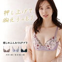 \期間限定20%オフ/ルシアン公式 ワイヤーブラ 癒しのふんわりUPブラ ブラジャー 下着 レディース 24WFB623