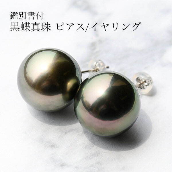 Rakuten - 特大 14mm 黒蝶真珠 ピアス/イヤリング 鑑別書付　存在感放つ圧倒的ボリューム！ 重厚で品格あるブラックパール