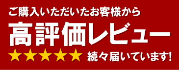 シーリングライト 2台セット 8畳 6畳 調光 調色 LED リモコン 天井直付灯 リビング 居間 ダイニング 食卓 寝室 子供部屋 ワンルーム 一人暮らし 照明 電球色 昼光色 CL-YD8CDS ビームテック