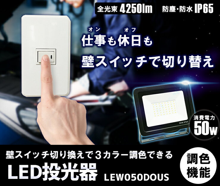 LED投光器 昼光色 昼白色 電球色 黒 白 50W IP65 屋内 屋外 防塵 耐塵 防水 LEW050DOUS ビームテック