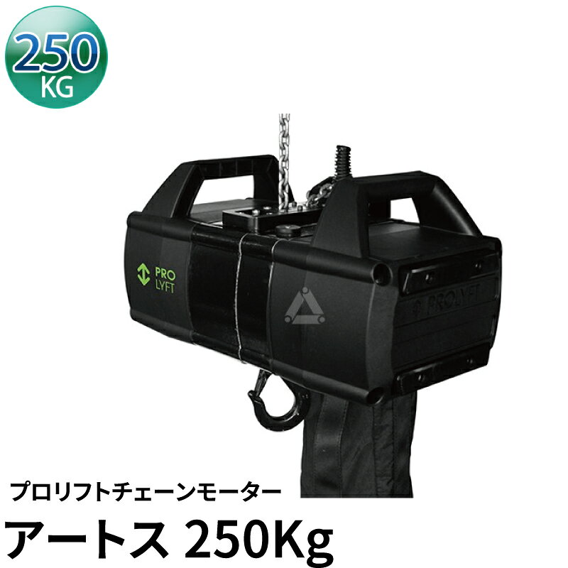 【全品ポイント10倍※エントリー必要】Prolyft プロリフト チェーンモーター アートス250kg AETOS250-DC ダイレクトコントロール IP55保護 屋外仕様 Prolyft オランダ製 ビームテック