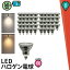 100ĥå LED ݥåȥ饤 ŵ E11 ϥ 50W  38 к ŵ忧 550lm  600lm LDR6-E11II--100 ӡƥå