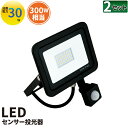 【数量限定】2個セット LED投光器 人感センサー 電球色 昼光色 黒 30W IP65 屋内 屋外 防塵 耐塵 防水 LES030--2 ビームテック