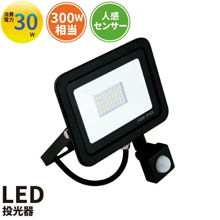 【数量限定】LED投光器 センサー 電球色 昼光色 黒 30W IP65 屋内 屋外 防塵 耐塵 防水 LES030 ビームテック