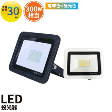 LED投光器 電球色 昼光色 黒 白 30W IP65 屋内 屋外 防塵 耐塵 防水