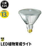 LED ʪ ̺ LED饤  ʪ  ǥ˥ ʪ饤 E26   ɿ 4ĥå 10ĥå LG13W-PAR38 ӡƥå