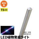 LED 植物育成 水耕栽培 LEDライト 観