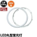 【数量限定】LED蛍光灯 丸型 丸型蛍光灯 40W形 サークライン 虫対策 電球色 2200lm 昼光色 2800lm LTR40CW-A ビームテック