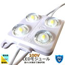 再入荷 LEDモジュール 4チップ 昼光色 7500K 電球色 2700K 1.5W 100V 60x44x11.3mm 防水 IP65 調光対応 内照看板 チャンネル文字 施工業者 間接照明 業務用 看板 100個まで連結可