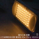 LED超薄型カラー投光器 電球色 2700K 軽量345g 防滴IP62 発光角度120° 4500lm スリム 屋内仕様 展示会 催事 店舗 間接照明 動画あ...