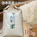 令和5年産 コシヒカリ 10kg 精米後すぐに発送 岐阜県産コシヒカリ 農家直送便 お米 白米 無洗米 岐阜県揖斐川町産コシヒカリ いび源流..