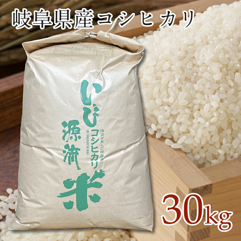 岐阜県産コシヒカリ 令和5年産 岐阜県揖斐川町産コシヒカリ いび源流米 玄米30kg 坂内米 農家直送 岐阜県産 西濃 美濃国 お米 米 玄米 おいしい 仕送りなどにも 清流 こしひかり ジャパニーズライス 令和五年産