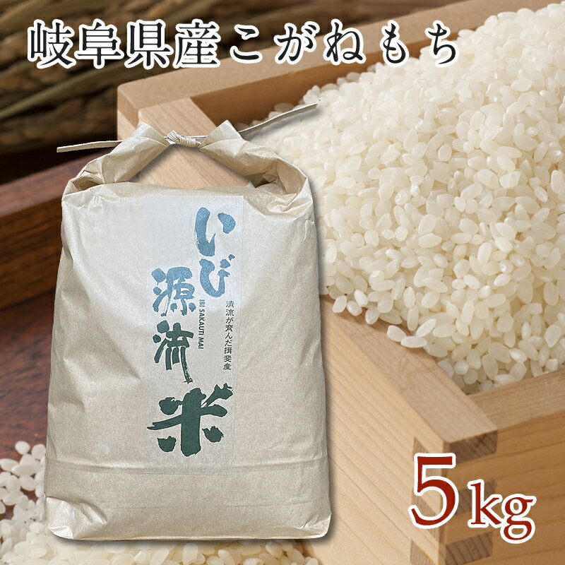 【予約販売 10月頃入荷次第出荷予定】岐阜県産 もち米 令和6年産 新米 岐阜県揖斐川町産こがねもち いび源流米 もち米5kg 精米済 坂内米 農家直送 岐阜県産 西濃 美濃国 お米 米 白米 おいしい ギフトにも 清流 こがねもち ジャパニーズライスのサムネイル