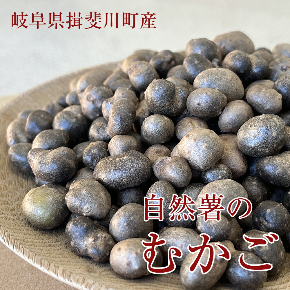 【300g×3パック】自然薯のむかご 余零子 希少品 岐阜県産 サイズミックス 計900g ムカゴ パック入り 期間限定 希少 貴重 山の幸 珍しい むかごご飯 塩ゆで 販売 岐阜県揖斐川町産 揖斐 珠芽 mukagoのサムネイル