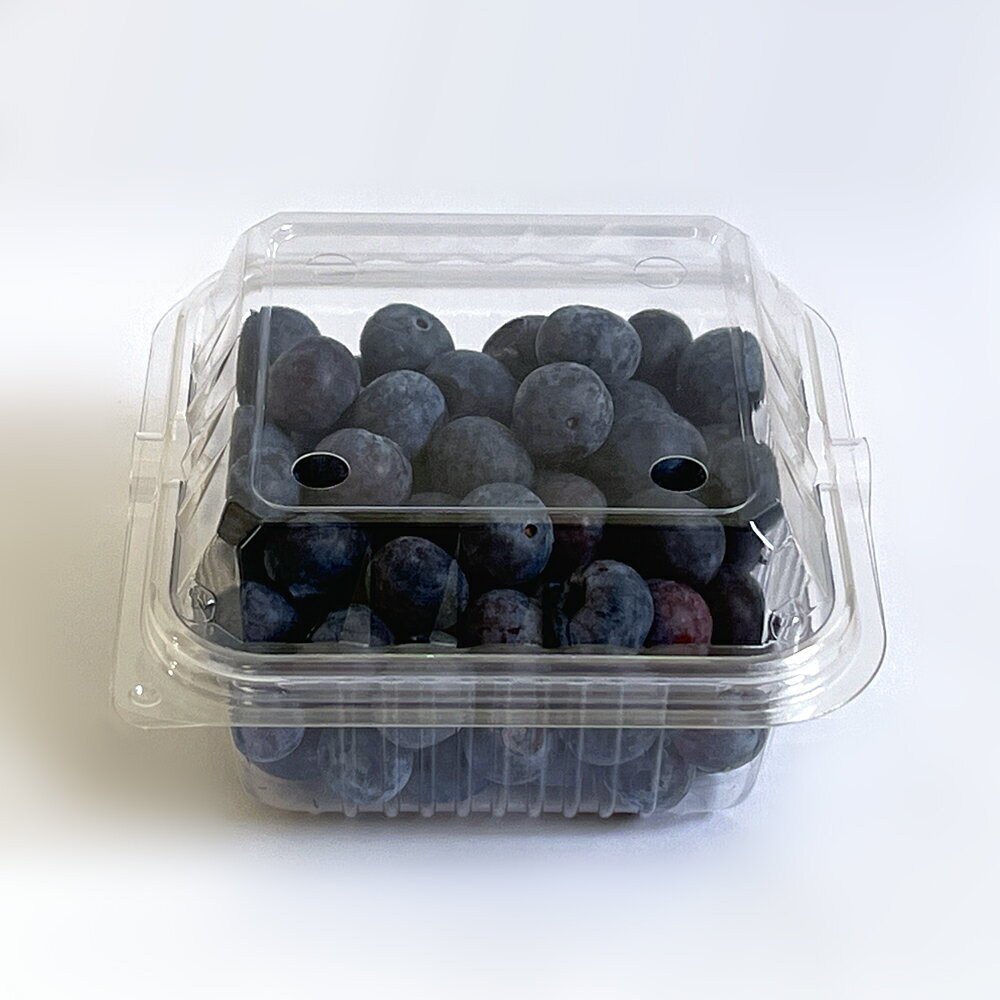 【予約販売6月下旬頃より出荷予定】国産 生食用手摘みブルーベリー 500g サザンハイ系岐阜県揖斐川町産 廣瀬ファーム 農家直送 採れたて発送 手摘みベリー サザンハイブッシュ 消毒無し有機栽培 期間限定 夏季限定 朝摘み 自然栽培 厳選農家 旬 果物 フルーツ
