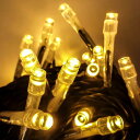 イルミネーション LED クリスマス パーティー 10m 100球 防水 屋外 ストリングライト プロ仕様 おしゃれ 北欧 飾り 電源部別売 8連結まで可能 【...