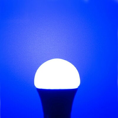 カラー電球 ミニクリプトンカラーLED電球 LEDライト E17 ブルー レッド ピンク グ...