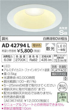 コイズミ照明 LED防雨防湿ダウンライト 屋外 2700K電球色