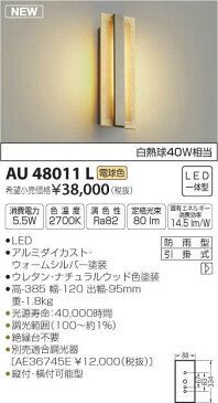 コイズミ照明 LED防雨ブラケットライト 玄関灯 屋外 2700K電球色