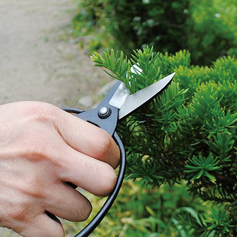 源正宗 植木鋏