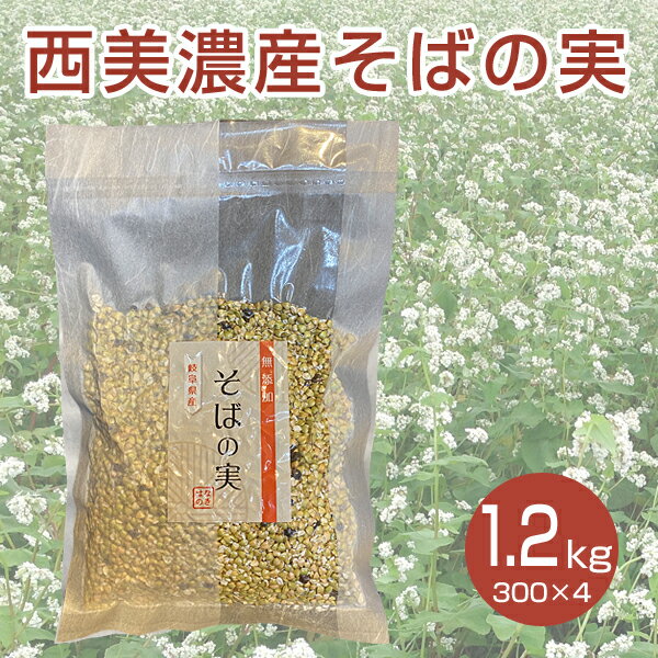 西美濃産そばの実 1.2kg 国産 ヌキ実 蕎麦の実 実そば 国産そばの実 父の日 そば米 粒そば 穀物 抜きそば 蕎麦 そばの実 スーパーフード soba 国産そばの実 むき実 ぬき実 抜き実 1200g