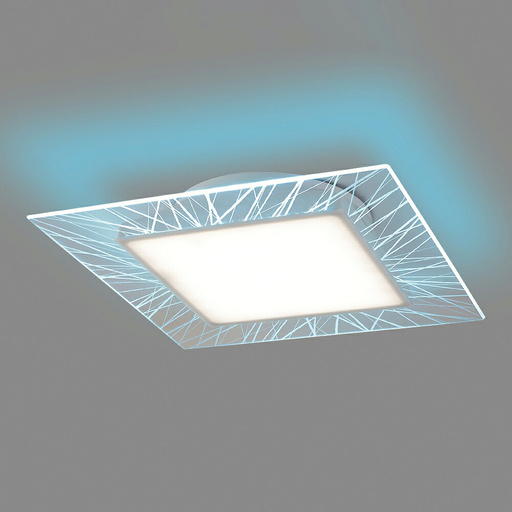 Western Style （Ceiling） - ホタルクス LEDシーリングライト 引掛シーリング対応 調光 HotaluX VIEW 昼白色5000K 4200lm 46W
