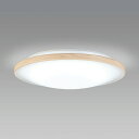 z^NX LED^V[OCg ؖڒ[ Vv  LIFELED'S F5000K 1700lm 14W