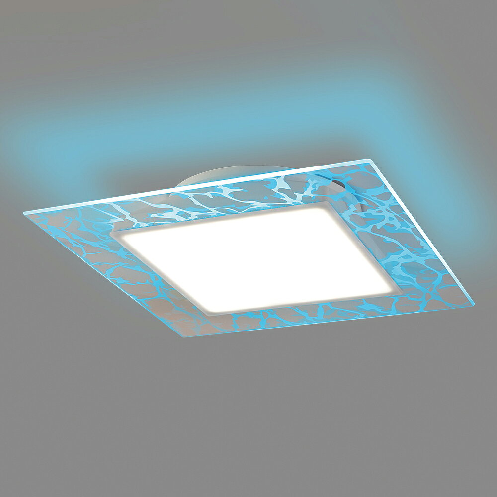 ホタルクス LEDシーリングライト 引掛シーリング対応 調光 HotaluX VIEW 昼白色500...